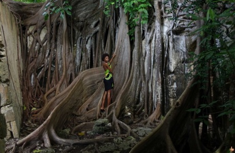 Africano, facciamolo hdxxx foto