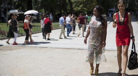 Latina Nuova Zelanda bellissimo hd immagini